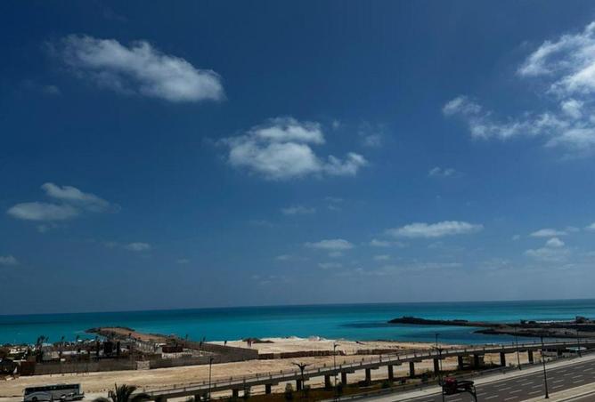 75677971 - صورة العقار 2