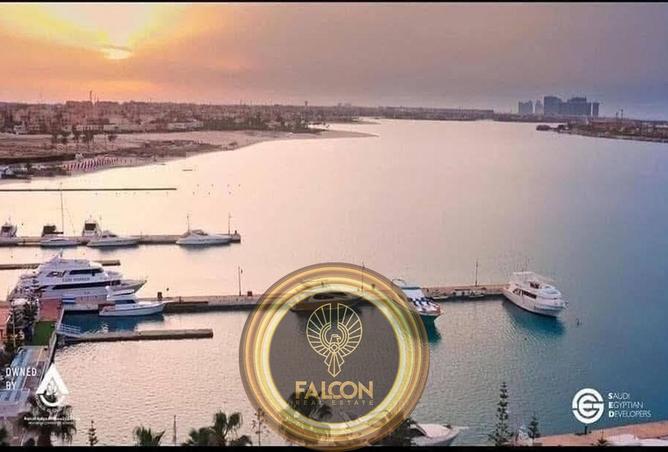 87509035 - صورة العقار 2