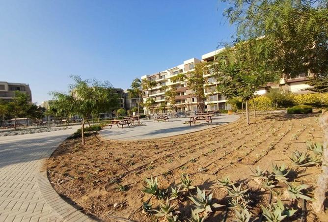 8595834 - Property Image 2