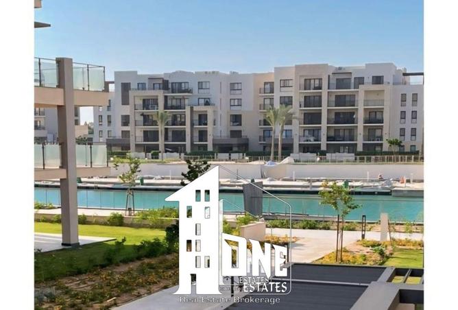 66428498 - Property Main Image