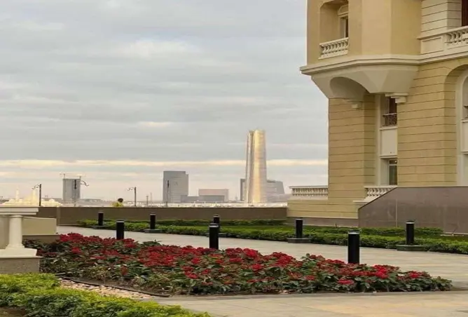 116486024 - صورة العقار 3