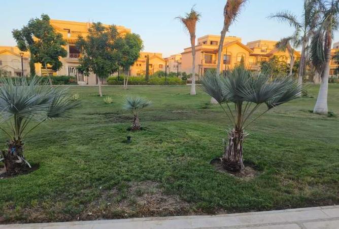 98010055 - صورة العقار 2