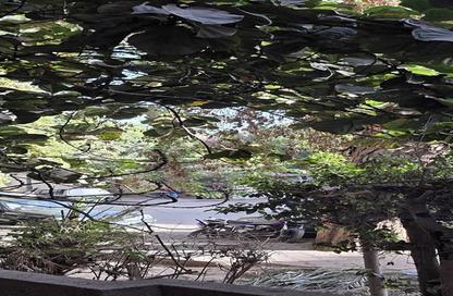 Apartment - 2 Bedrooms - 1 Bathroom for sale in Maadi - Hay El Maadi - Cairo