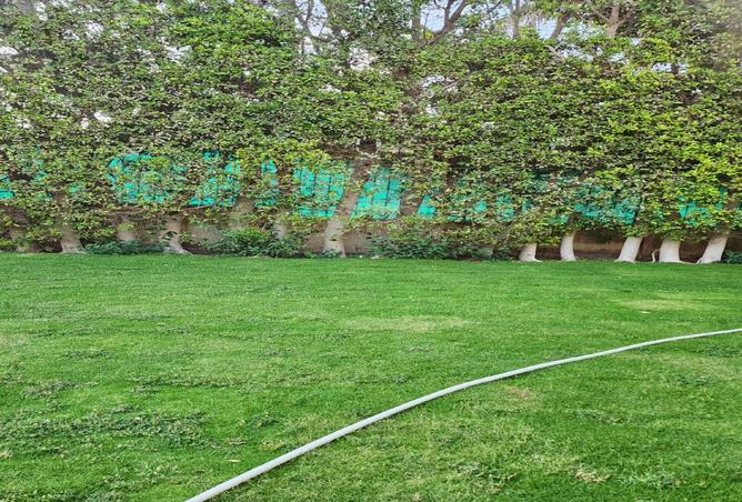 54237334 - صورة العقار 2