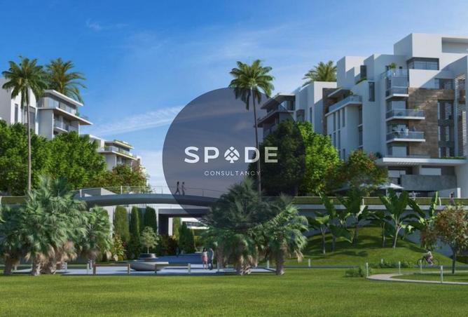 60955551 - صورة العقار 2