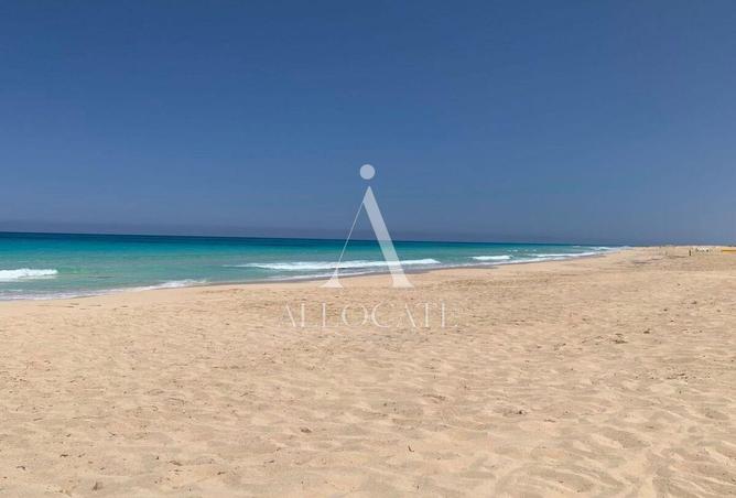 97138403 - صورة العقار 3