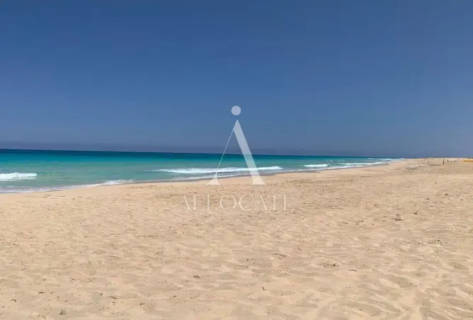 97138403 - صورة العقار 3