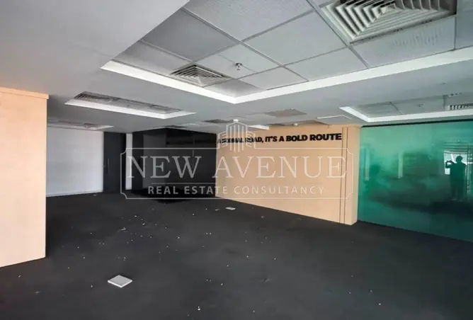 113248619 - Property Image 3