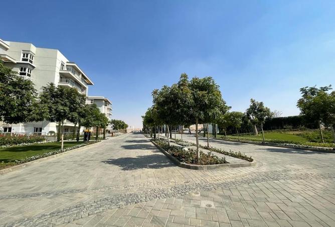 67220435 - صورة العقار 3