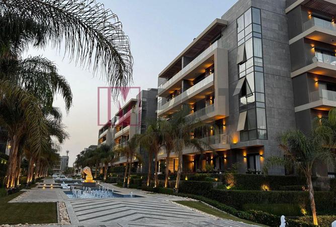 57998864 - Property Image 3