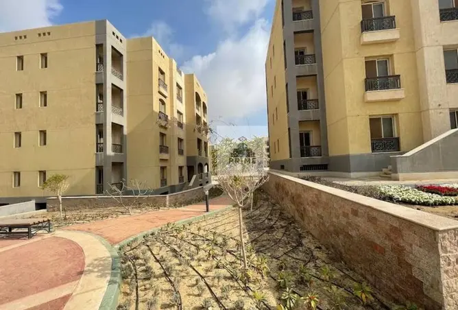 117015727 - Property Image 2