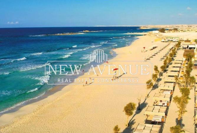 8686260 - صورة العقار 2