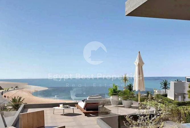 87519164 - Property Image 3