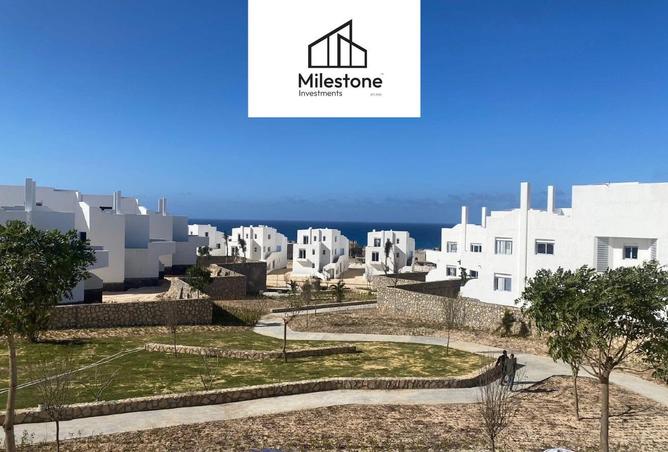 61686559 - صورة العقار 3