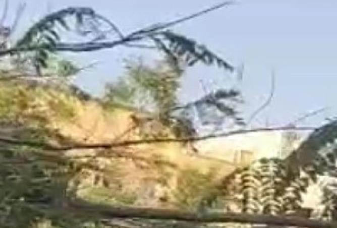 75390790 - الصورة الرئيسية للعقار