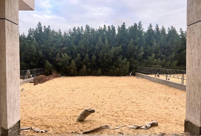 63890229 - صورة العقار 2