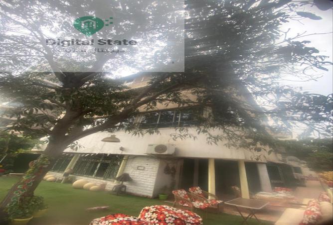 59486075 - الصورة الرئيسية للعقار