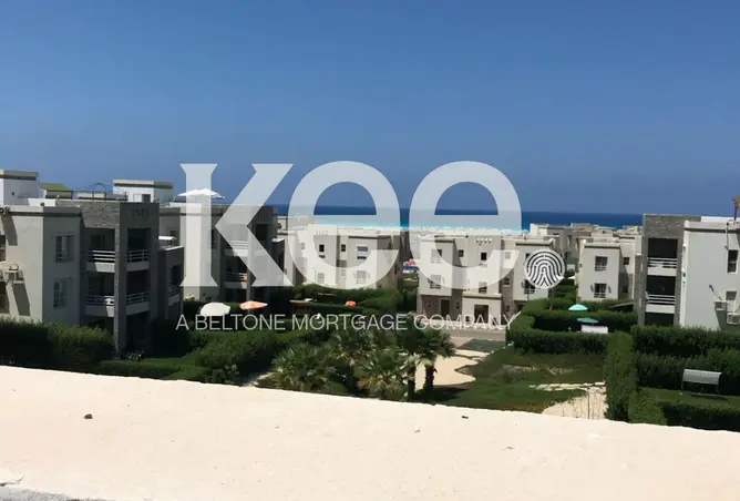 109625535 - Property Image 3