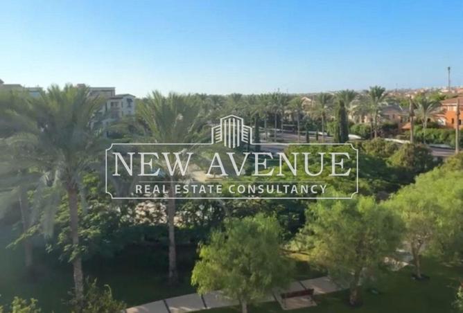 8656704 - Property Image 2