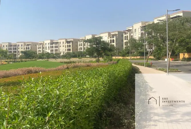 115439644 - Property Image 3