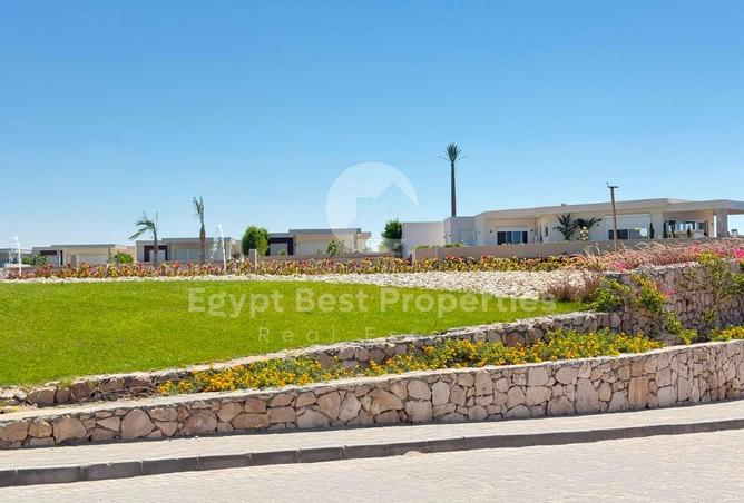 91010469 - Property Image 3