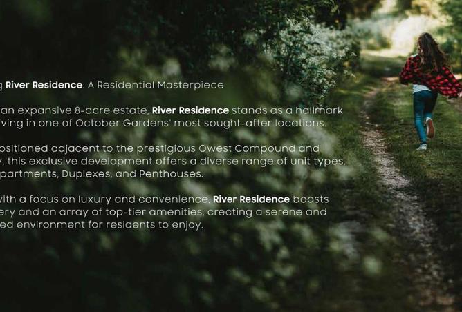 59235615 - Property Image 3