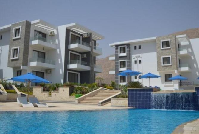 8620525 - Property Image 3