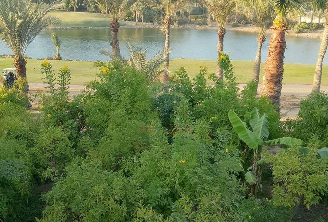 64379775 - Property Image 2