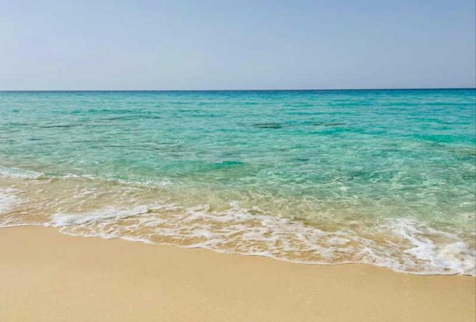 8484531 - صورة العقار 2