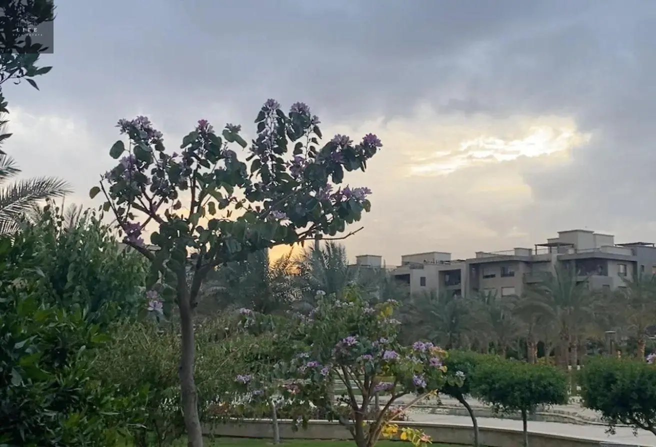 119072130 - الصورة الرئيسية للعقار