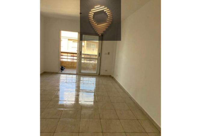 53473136 - Property Image 2