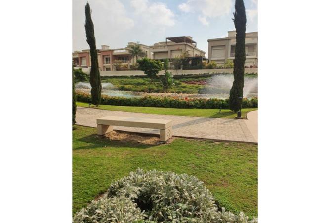 83676500 - Property Image 3