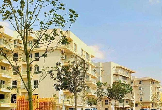 54488656 - صورة العقار 3