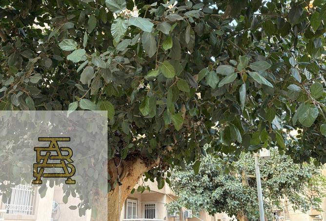73758618 - صورة العقار 2