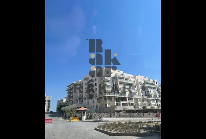 116755882 - صورة العقار 3