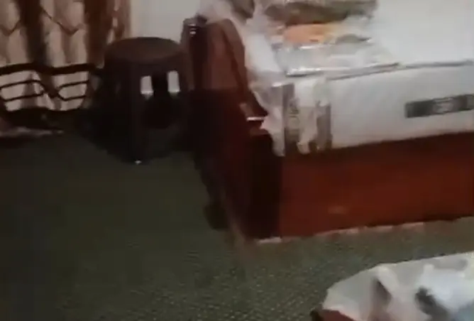 112969675 - صورة العقار 2