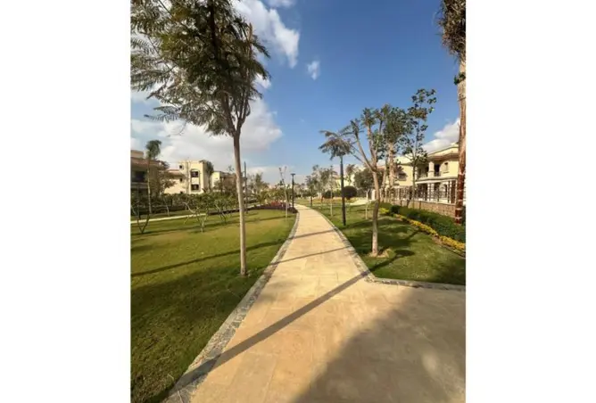 98548728 - صورة العقار 3