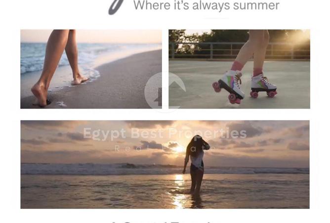 81830062 - صورة العقار 3