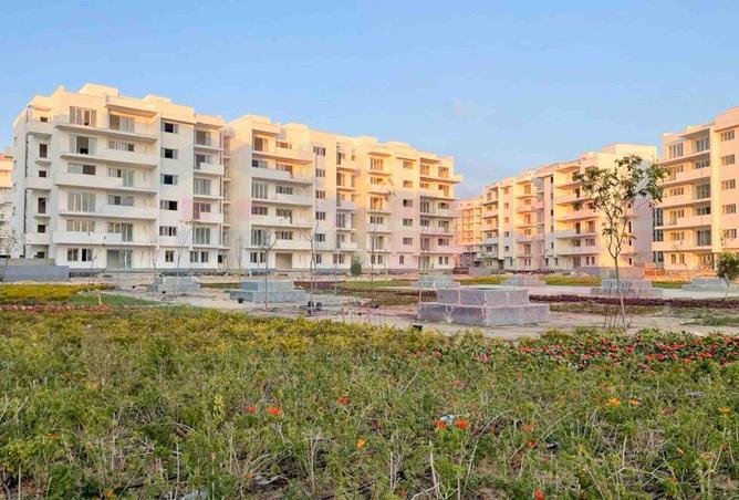 58736188 - صورة العقار 2