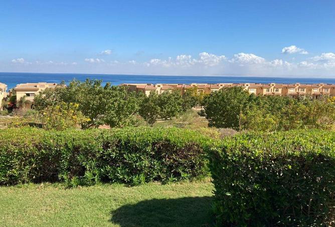 66962333 - صورة العقار 3