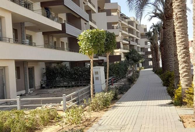 62163530 - صورة العقار 3