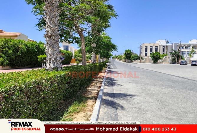 88678919 - Property Image 3