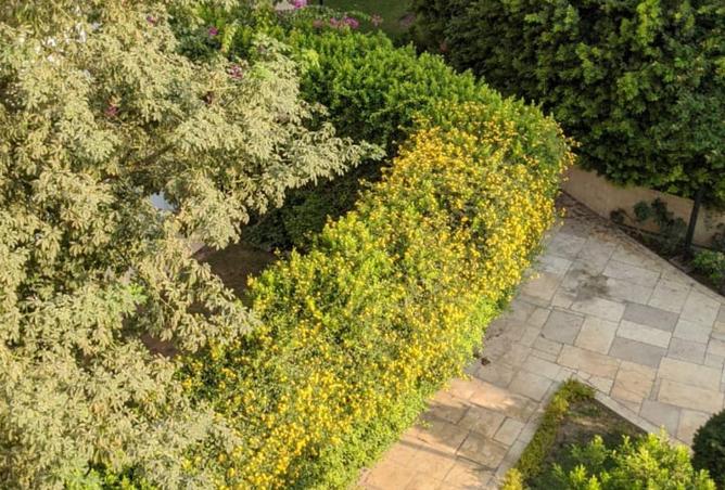 8615884 - Property Image 2