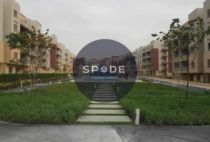 8717358 - Property Image 3