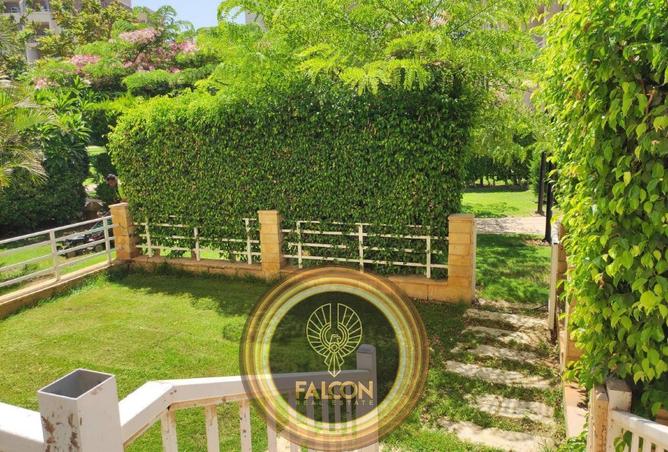 8624338 - Property Image 3