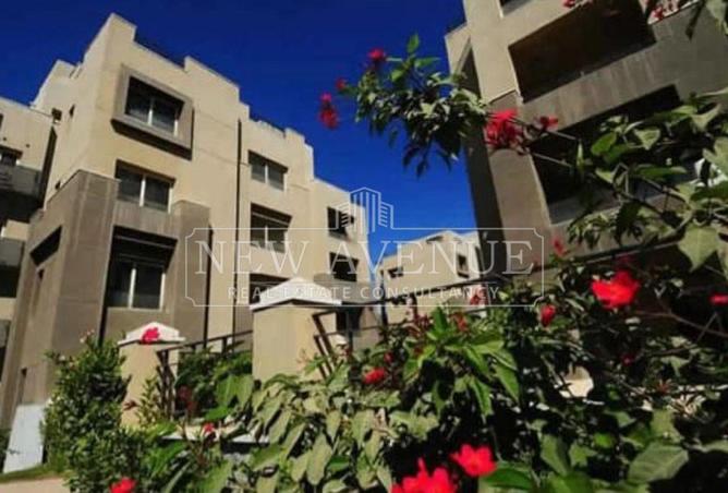 101768267 - Property Image 3