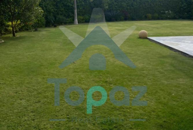 8711287 - الصورة الرئيسية للعقار