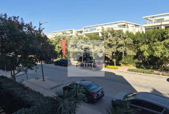 8600848 - Property Image 3