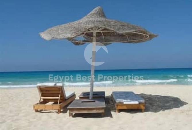 104048870 - Property Image 2