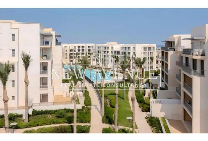 64903255 - Property Image 2